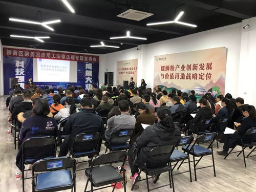 柳南區舉辦勞務派遣用工法律法規專題宣講會，助力互聯網信息服務行業規范發展