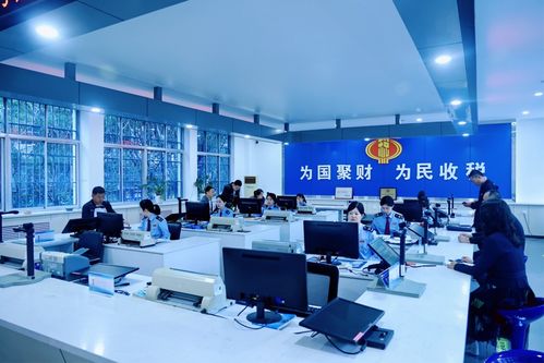 慶陽稅務 高效辦稅促發展，稅惠服務暖企心